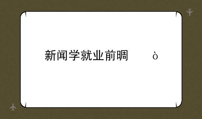 新闻学就业前景？