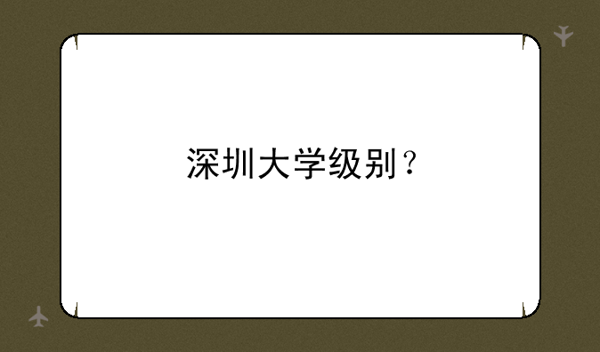 深圳大学级别？