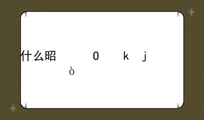 什么是专业的标准？