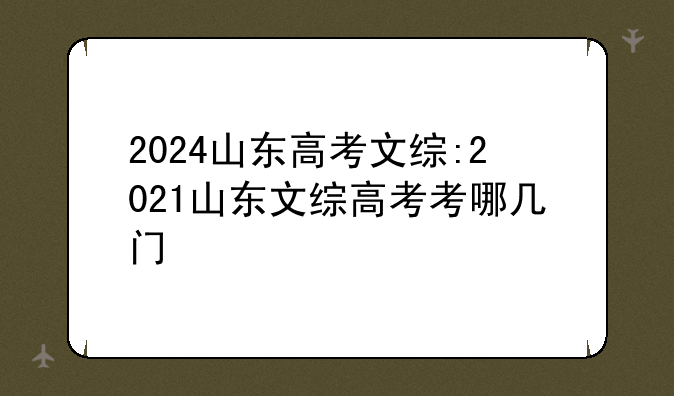 2024山东高考文综:2021山东文综高考考哪几门